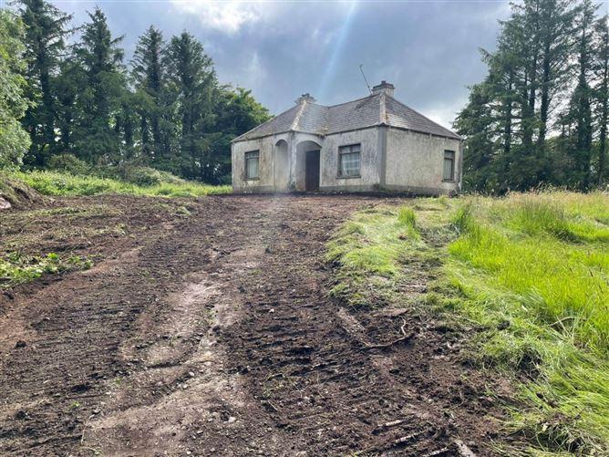 Lassanny, Ballyhaunis, County Mayo, historical listing image 3