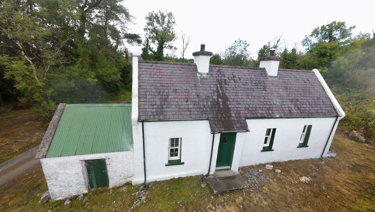 Drumany, Fenagh, Keshcarrigan, Co. Leitrim, N41RC67, historical listing image 1