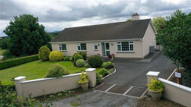 Derryguile, Mountmellick, Laois, historical listing image 1
