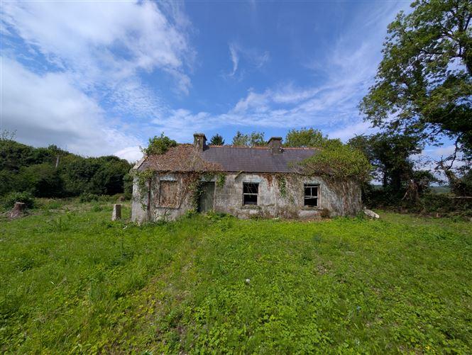 Carroweena, Killasser, Swinford, Co. Mayo, historical listing image 4