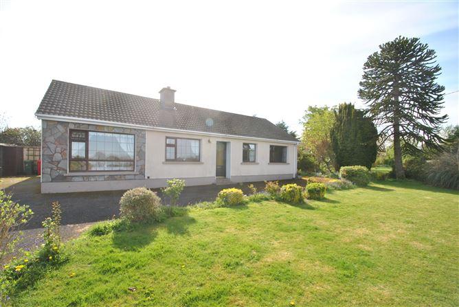 Mount Heaton, Roscrea, Co. Offaly, historical listing image 2