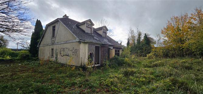 Passlands, Monasterevin, Co. Kildare, historical listing image 2