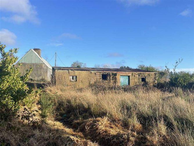 Mountainrea, Ballyduff, Co. Waterford, historical listing image 6