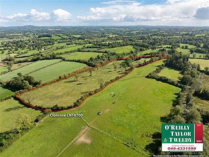 Cloncose, Arva, Co. Cavan, H12DN82, historical listing image 4