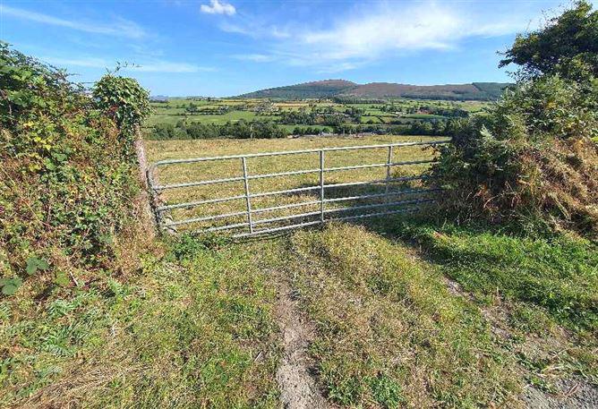 Raheendonore, Graiguenamanagh, Kilkenny, historical listing image 5