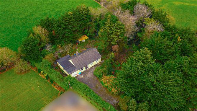 Saltmills, Fethard, Wexford, historical listing image 1