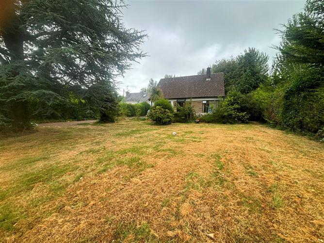 minerva, dublin rd, dundalk, historical listing image 2