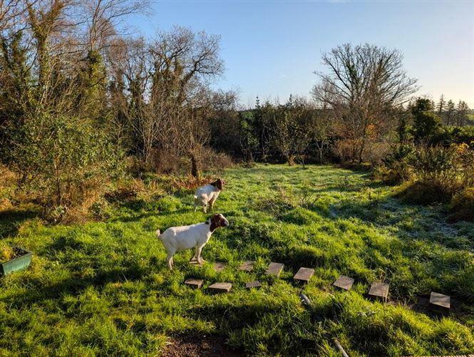 Owengallis, Bawnboy, Co. Cavan, historical listing image 4