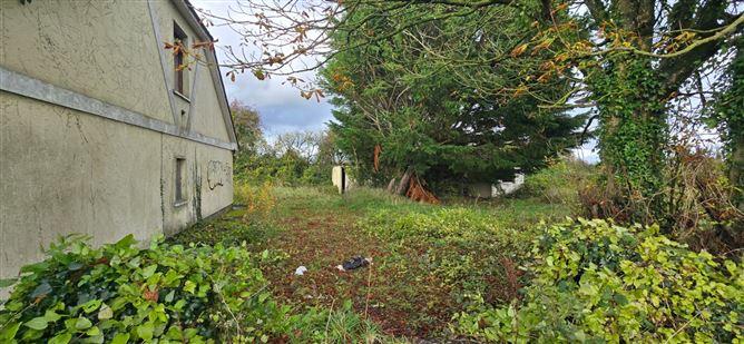 Passlands, Monasterevin, Co. Kildare, historical listing image 3