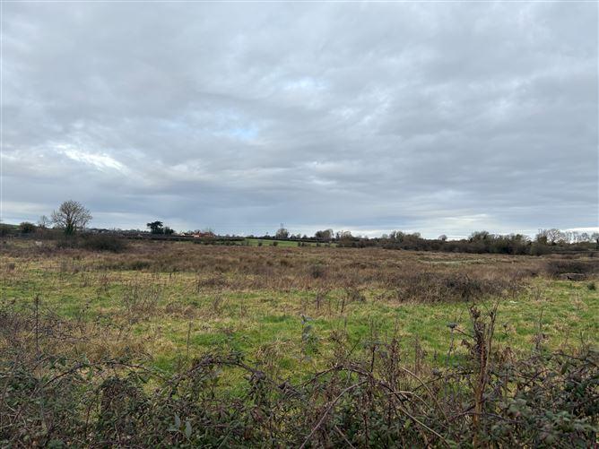 Ballyhomock, Adare, Limerick, historical listing image 4