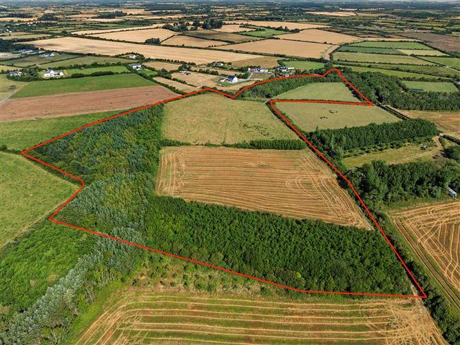 c. 8.78 Hectares (21.70 Acres) at Nicharee, Duncormick, Wexford, historical listing image 2