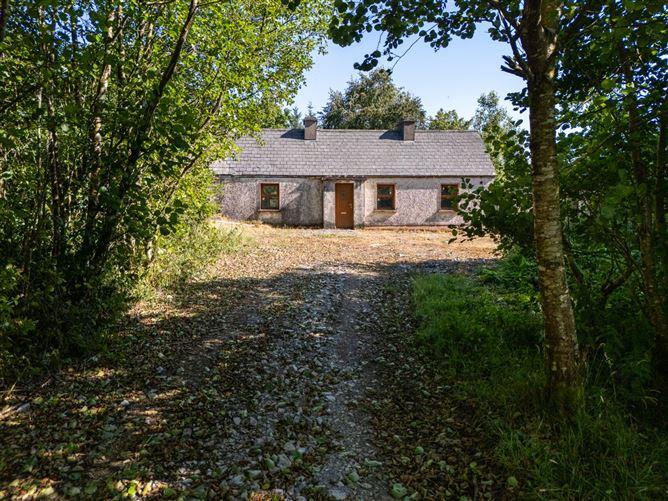 Derrylow, Boyle, Co. Roscommon, RN3682F (For ID), historical listing image 1