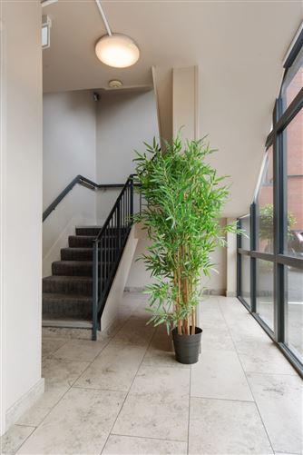 Apt 6, Parkview, 113 Harold's Cross Road, Dublin 6W, historical listing image 2