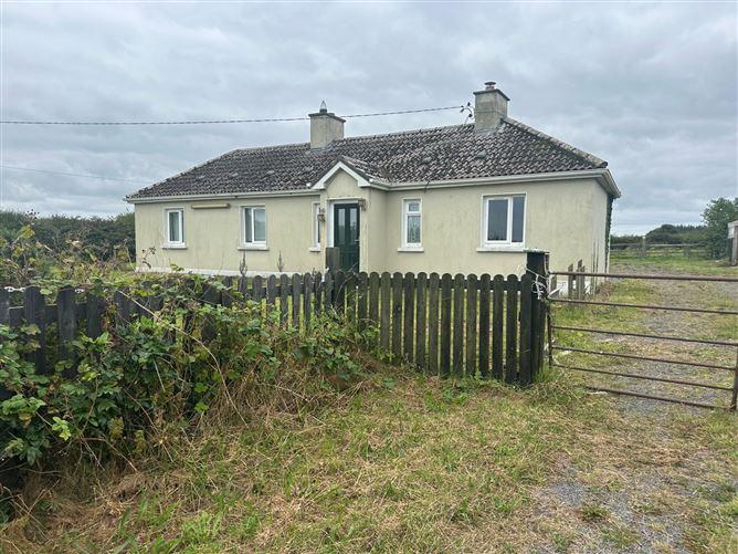 Rathpatrick, Crosspatrick, Co. Kilkenny, historical listing image 1
