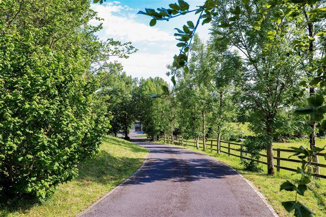 Residence On Approx. 4.67 Acres, Ganty, Craughwell, Co. Galway, historical listing image 5