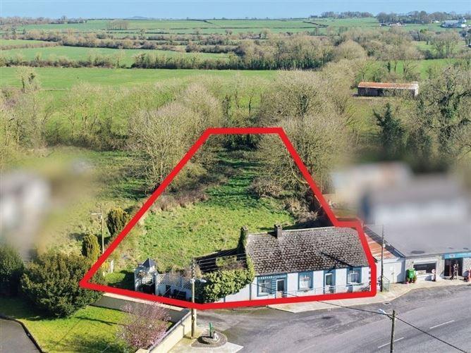 Gortmore, Feenagh, Kilmallock, Co. Limerick, historical listing image 1