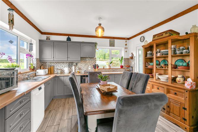 Newtownsaunders, Baltinglass, Co. Wicklow, historical listing image 3