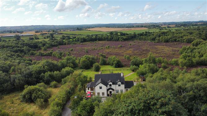 Townspark House, Townparks, Ardee, Co. Louth, A92F1C8, historical listing image 2