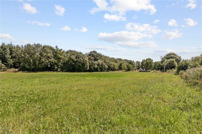 Site 3.3 Acres, Tottenhamgreen, Taghmon, Co. Wexford, historical listing image 5