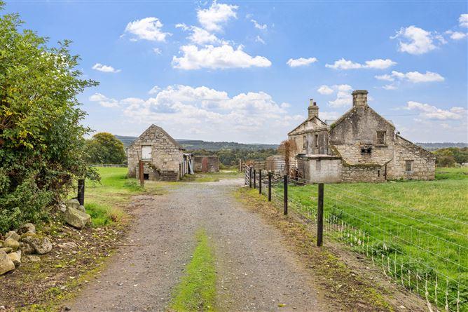 Ballynagrane, Borris, Co. Carlow, R95HD51, historical listing image 6