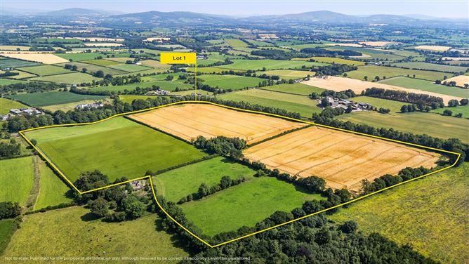 Lot 3 - Gatekeeper's Cottage, Lisnavagh, Rathvilly, Carlow, historical listing image 1