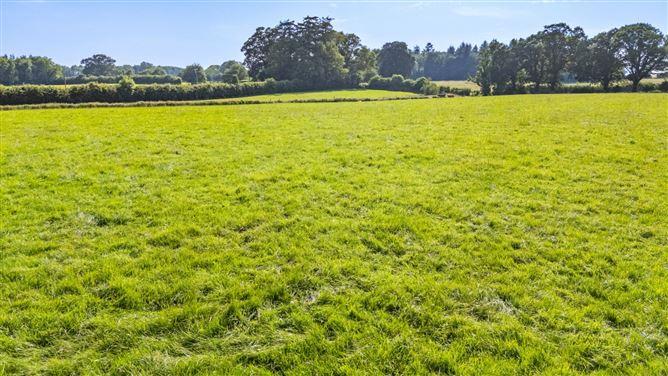 Lot 3 - Gatekeeper's Cottage, Lisnavagh, Rathvilly, Carlow, historical listing image 5