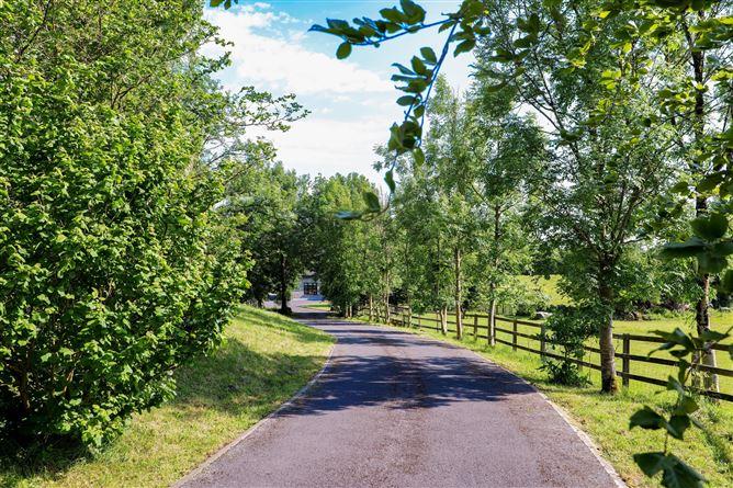 Residence On Approx. 4.67 Acres, Ganty, Craughwell, Co. Galway, historical listing image 4