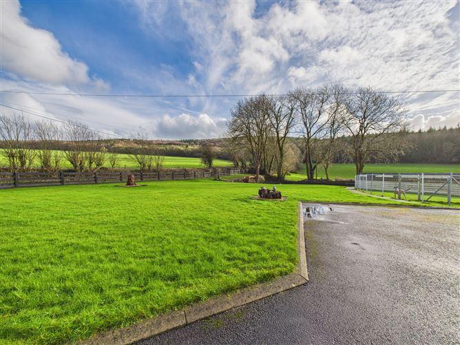 Knocknacrohy, Portlaw, Waterford, historical listing image 3
