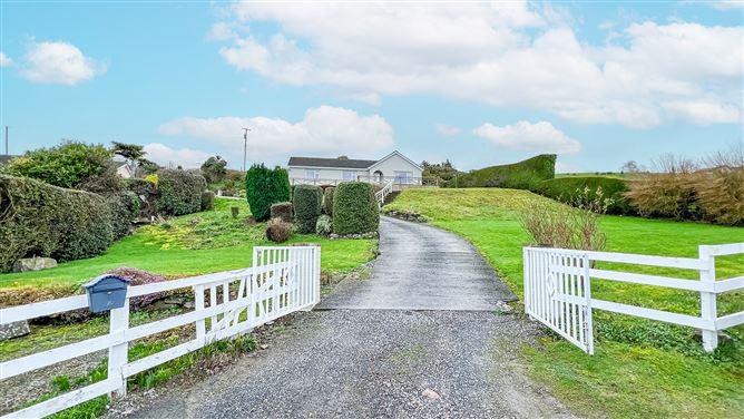Carrickmourne, Thomastown, Co. Kilkenny, historical listing image 3