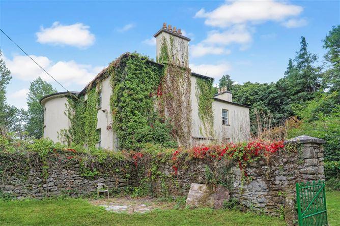 Ballynagar House, Co. Galway, historical listing image 4