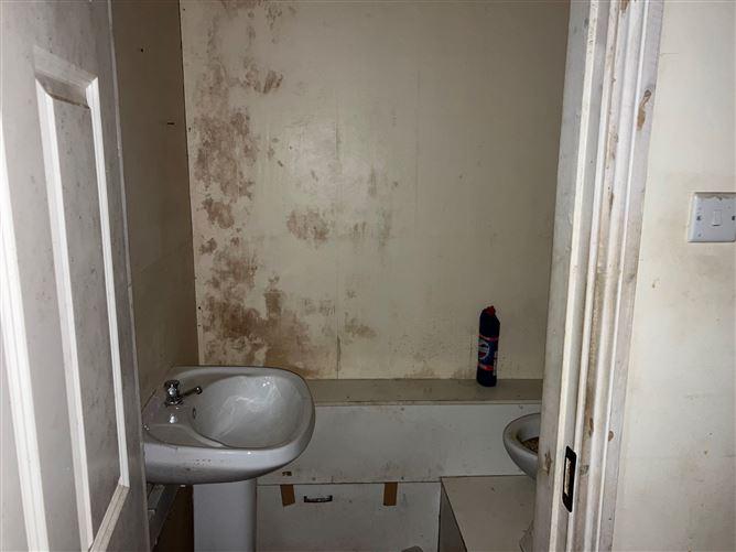 Autism Ireland, Mallow House Shortcastle Street, Co. Cork, historical listing image 6