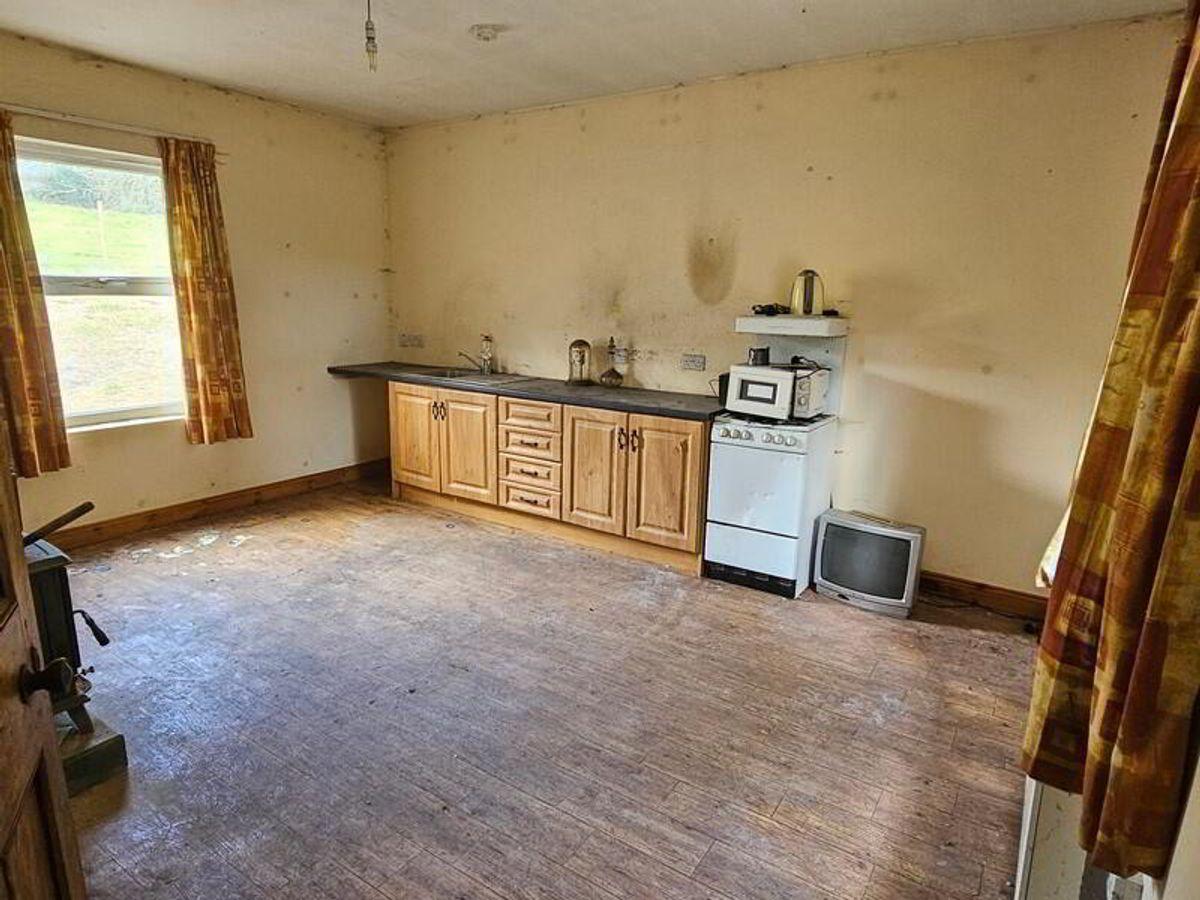 Derryginney, Ballyconnell, Co. Cavan, H14C851, historical listing image 5