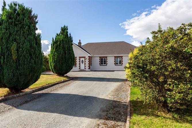 Bolachoir, Ferns, Co. Wexford, historical listing image 4