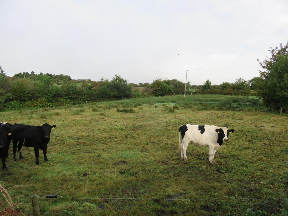 Ratharoon West, Bandon, Co. Cork, historical listing image 3