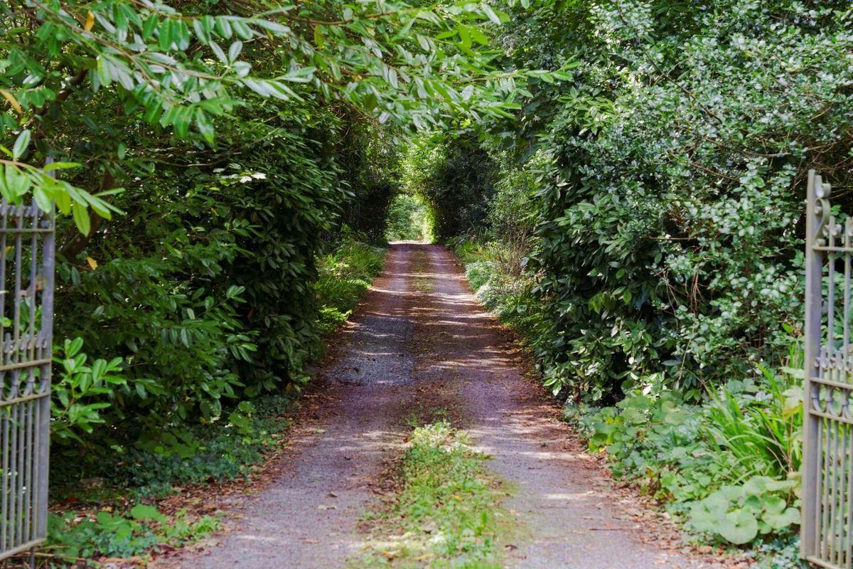 Ballynona House, Ballynona South, Midleton, Co. Cork, P25CY53, historical listing image 3