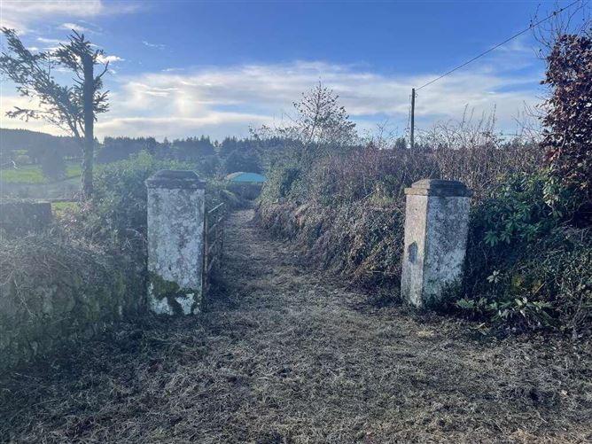Mountainrea, Ballyduff, Co. Waterford, historical listing image 5
