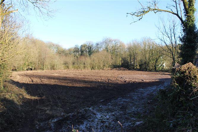 Beal na Blath, Crookstown, Cork, historical listing image 3