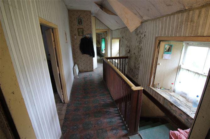 Dromina House, Dromina, Cork, historical listing image 6