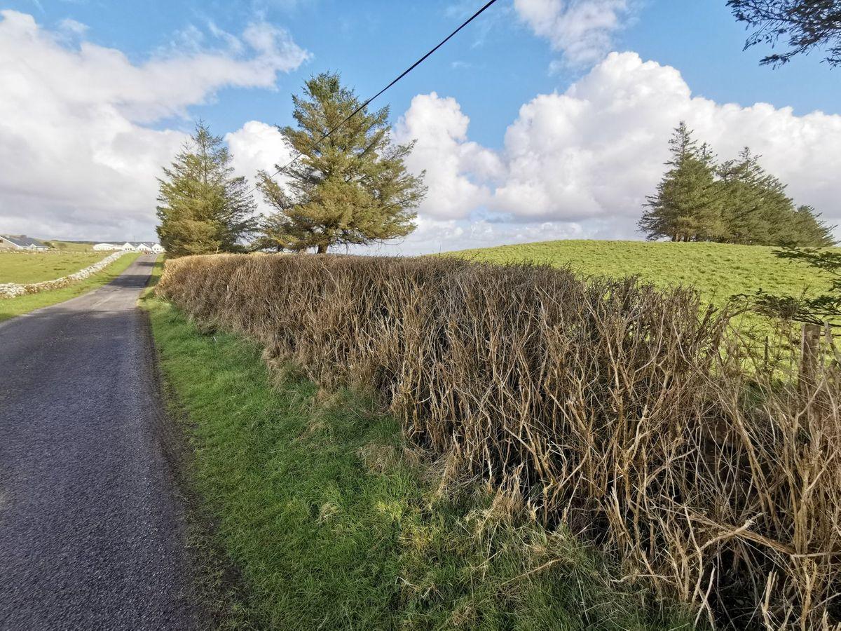 Killasser, Swinford, Co. Mayo, historical listing image 2
