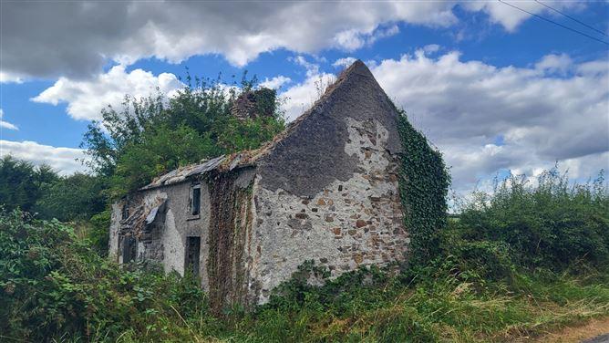 Killenaule, Co. Tipperary, Killenaule, Tipperary, historical listing image 4