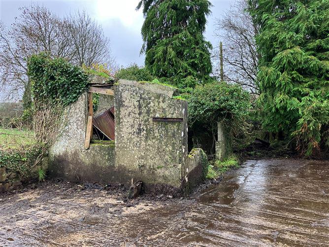 Duxtown, Rathkeale, Limerick, historical listing image 4