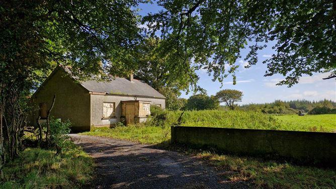 Derelict House With 1 Acre In Knocknagur, Knocknagur, Tuam, Co. Galway, historical listing image 6