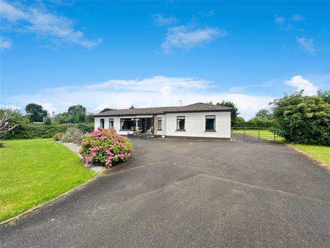 Belleen, Nenagh, Co. Tipperary, historical listing image 1
