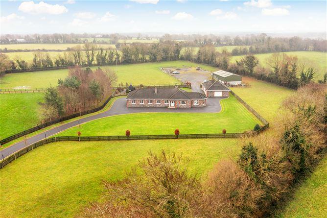 Ballyshane, Rathangan, Co. Kildare, historical listing image 6