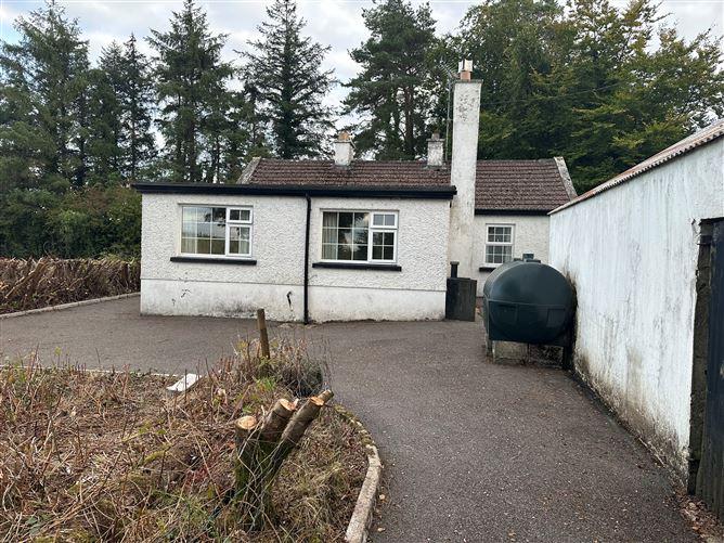 Ballinroey Dring Co Longford, Co. Longford, historical listing image 2