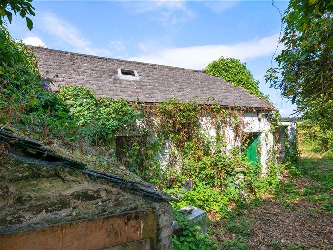 22, Maiden Lane, Co. Galway, historical listing image 3