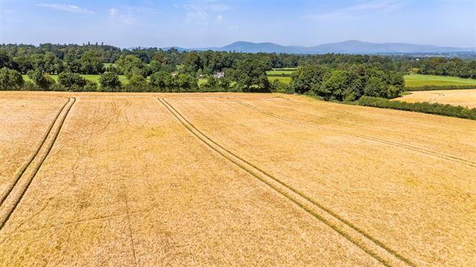 Lot 3 - Gatekeeper's Cottage, Lisnavagh, Rathvilly, Carlow, historical listing image 5