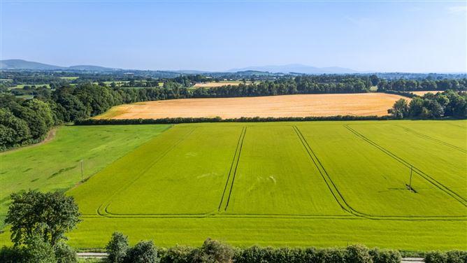 Lot 3 - Gatekeeper's Cottage, Lisnavagh, Rathvilly, Carlow, historical listing image 2