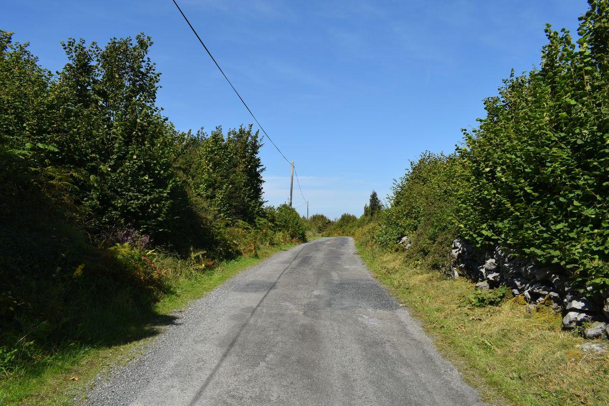 Newtown, Ballyvaughan, Co. Clare, historical listing image 6