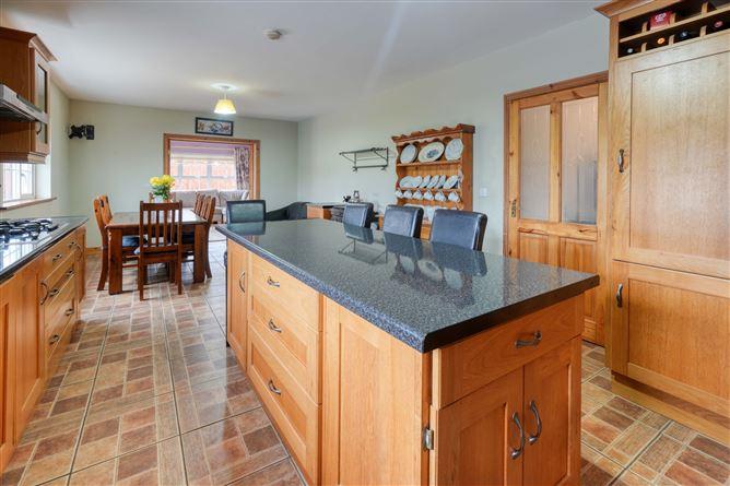 Derrymore, Mountrath, Co. Laois, historical listing image 4